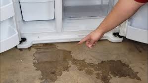 Refrigerator Water Leakage