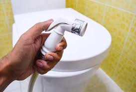 Jet Spray Repair/Replacement