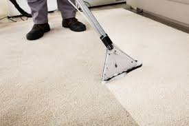 Carpet Cleaning Medium (50-100 sq ft)