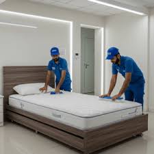 Mattress Cleaning Single Bed